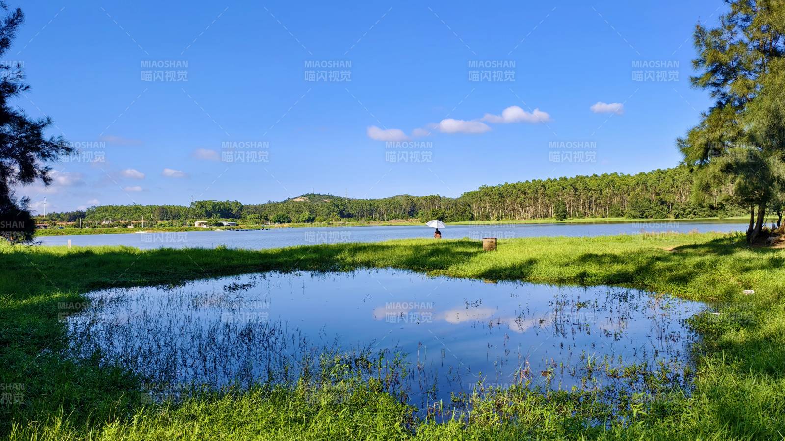 泉州湖畔绿野风光图片