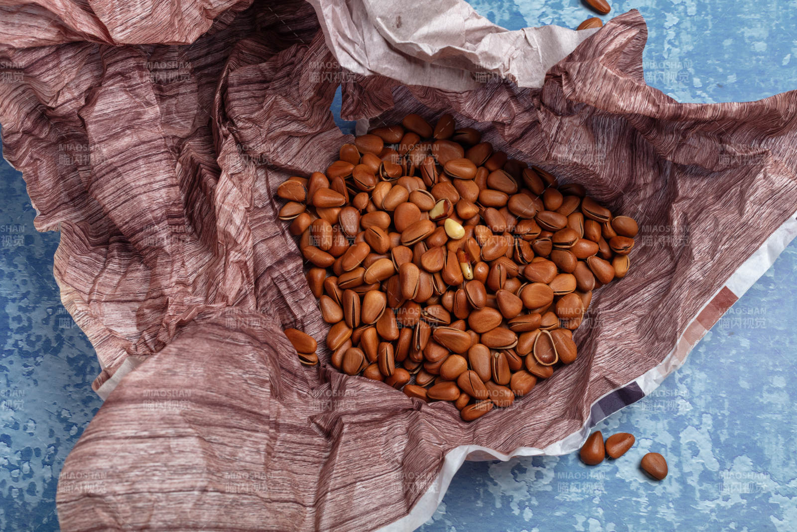 袋中松子散落图片