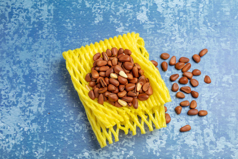 蓝色背景松子图片