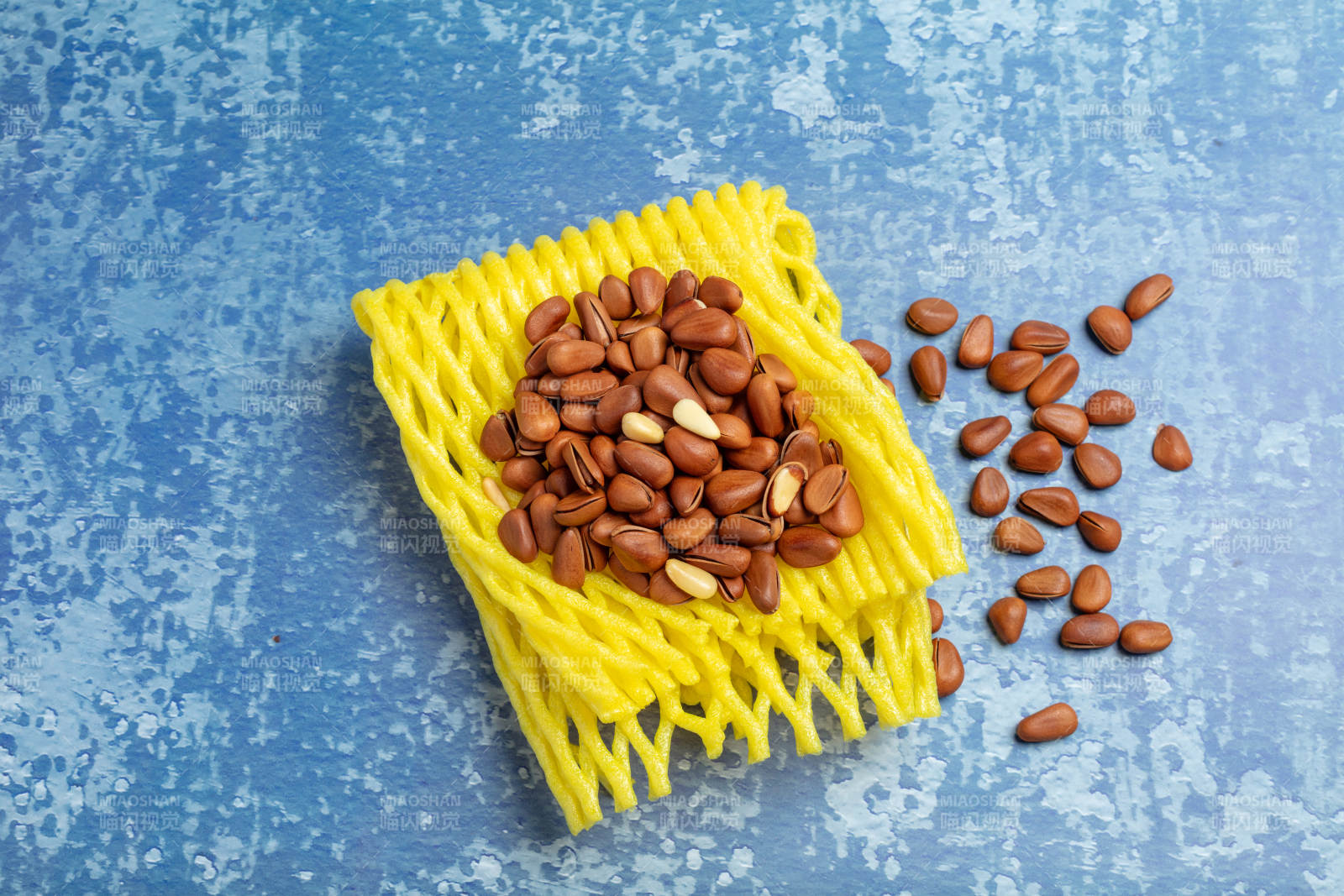 蓝色背景松子图片