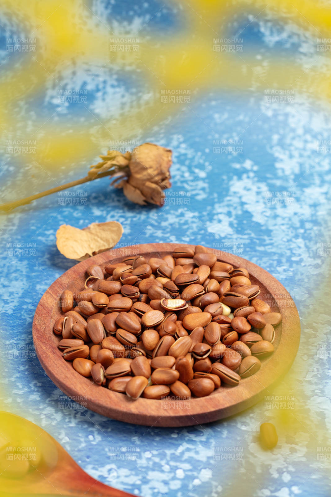 松子静物图图片