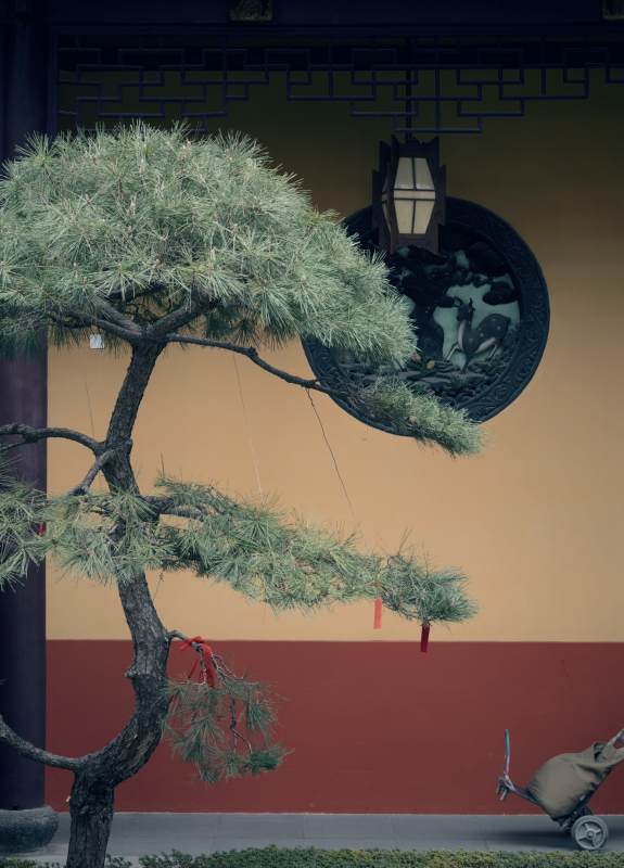 上海·玉佛寺图片