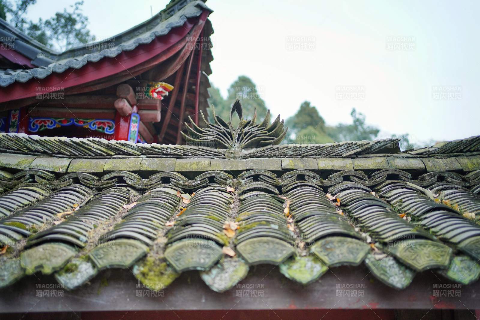 青城山古庙飞檐青瓦图片