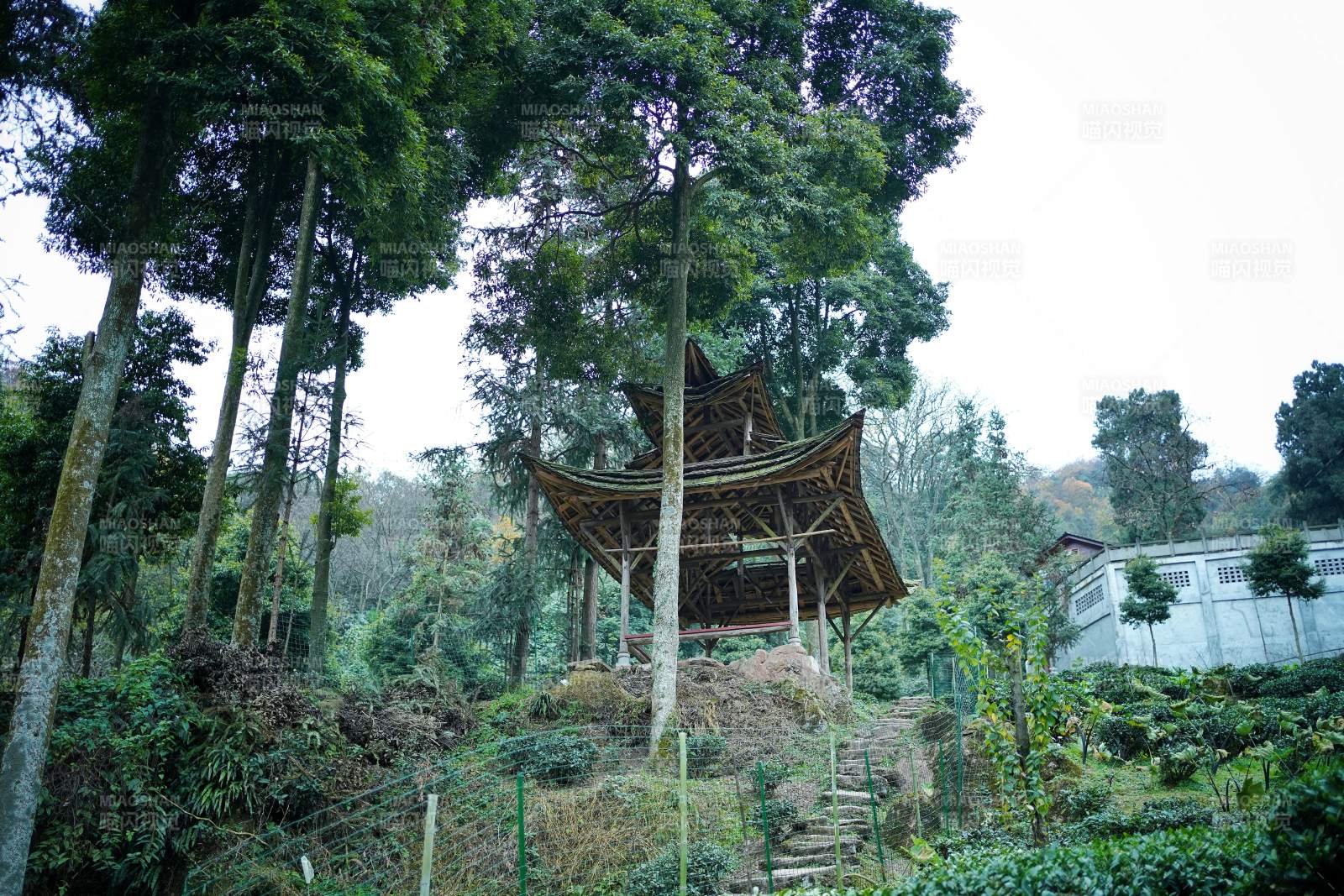 青城山林间古亭静谧景图片