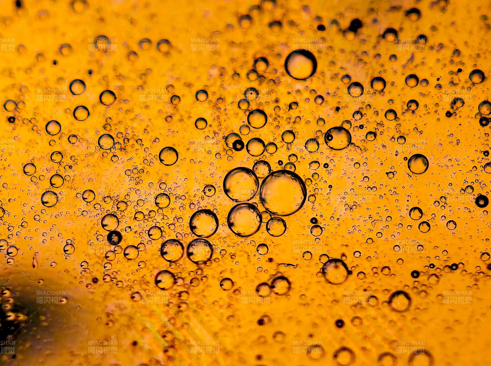 金黄气泡特写图片