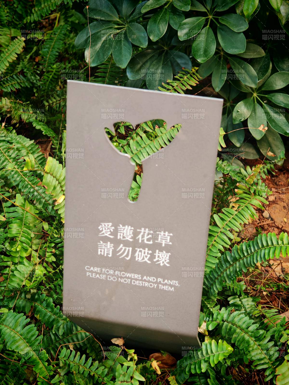 爱护花草 请勿破坏图片