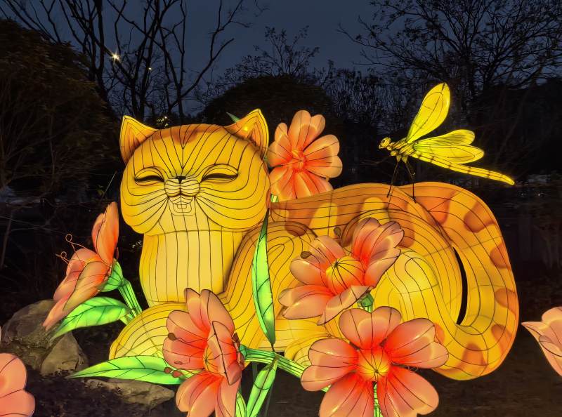 夜灯猫蝶花影图片