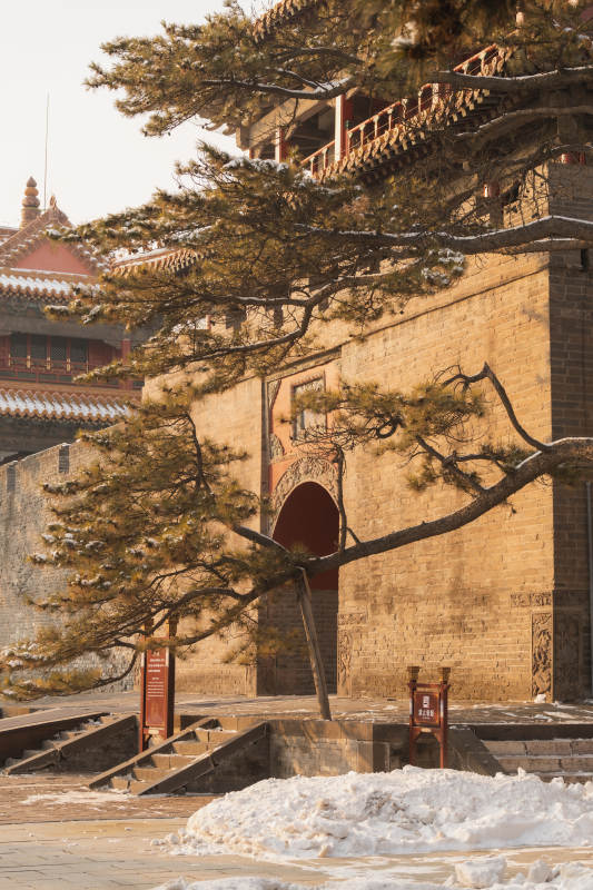 雪后古墙松影沈阳东陵图片