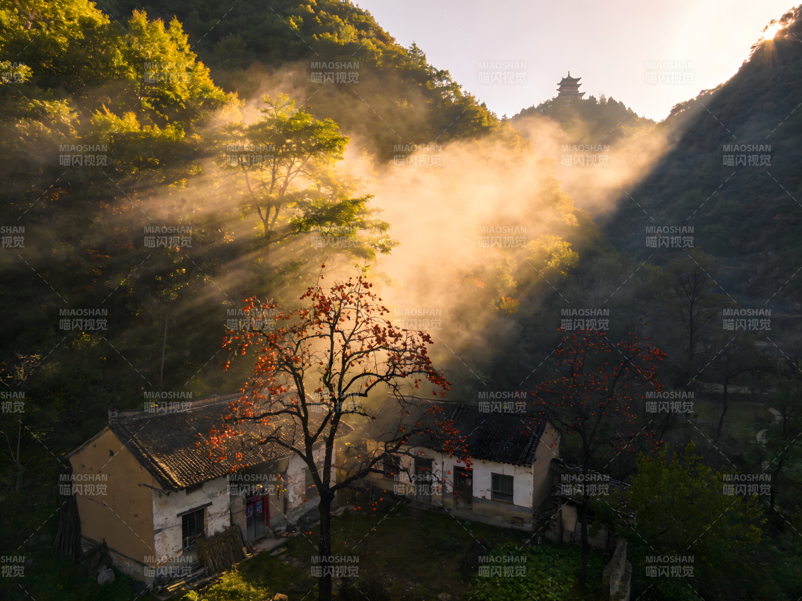 晨雾山居图片