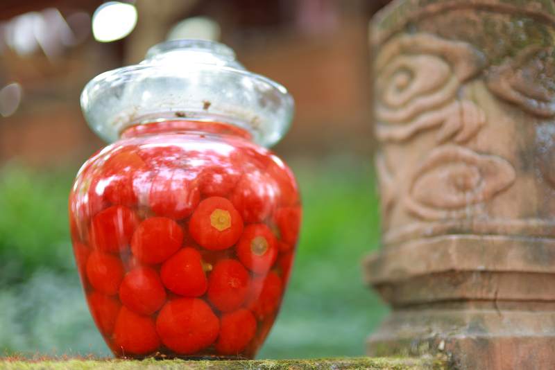 崇州罨画池里的赵露思同款泡菜罐图片