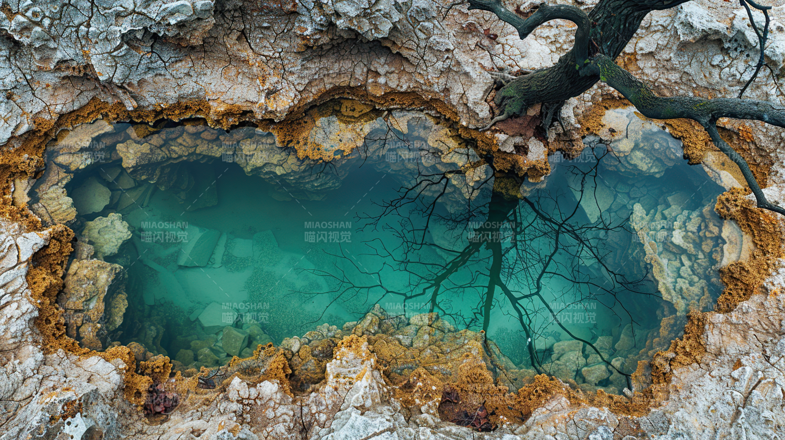 碧潭映树影图片