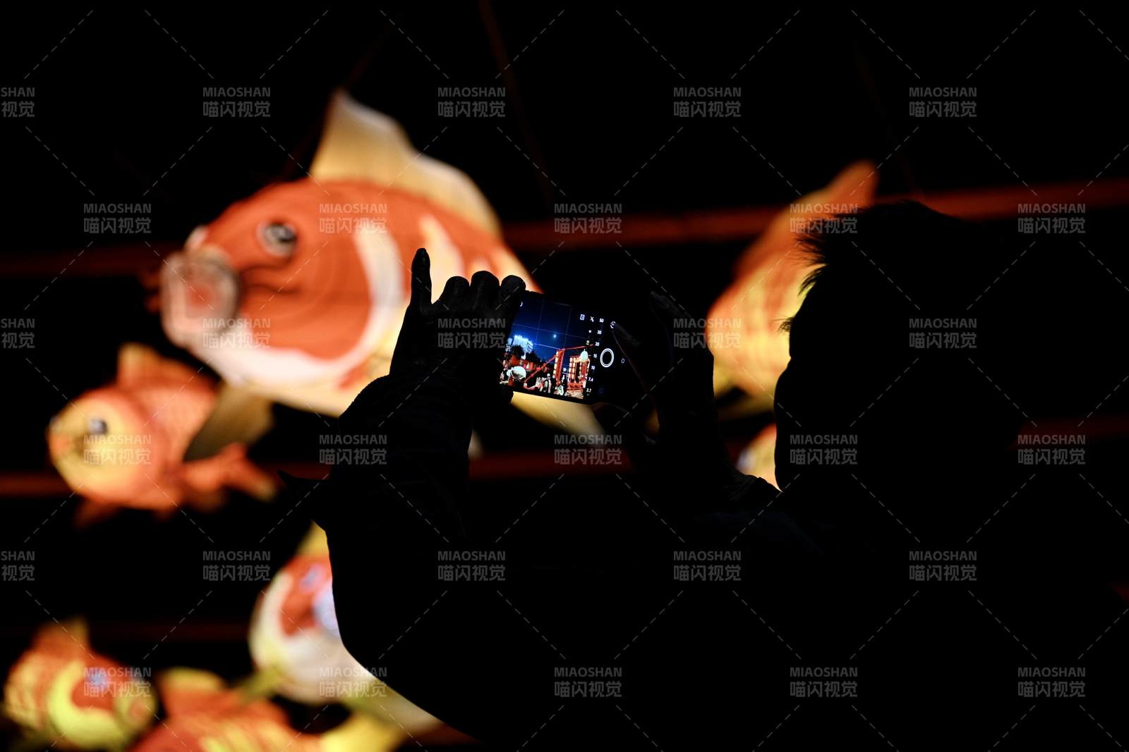 云龙桥光影鱼影 手机拍摄图片