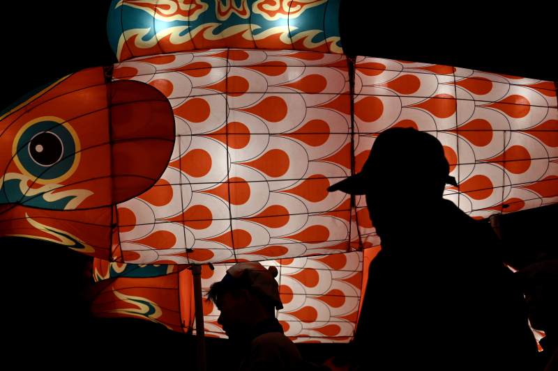 鱼灯映影夜游人图片