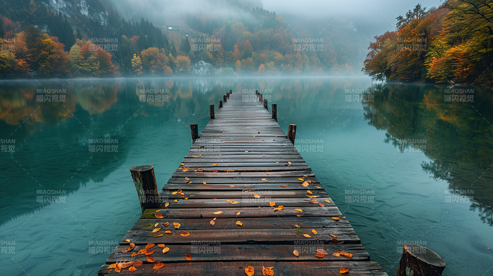 秋湖木栈道图片
