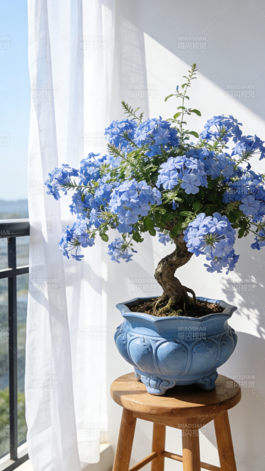 蓝花盆景静谧之美图片