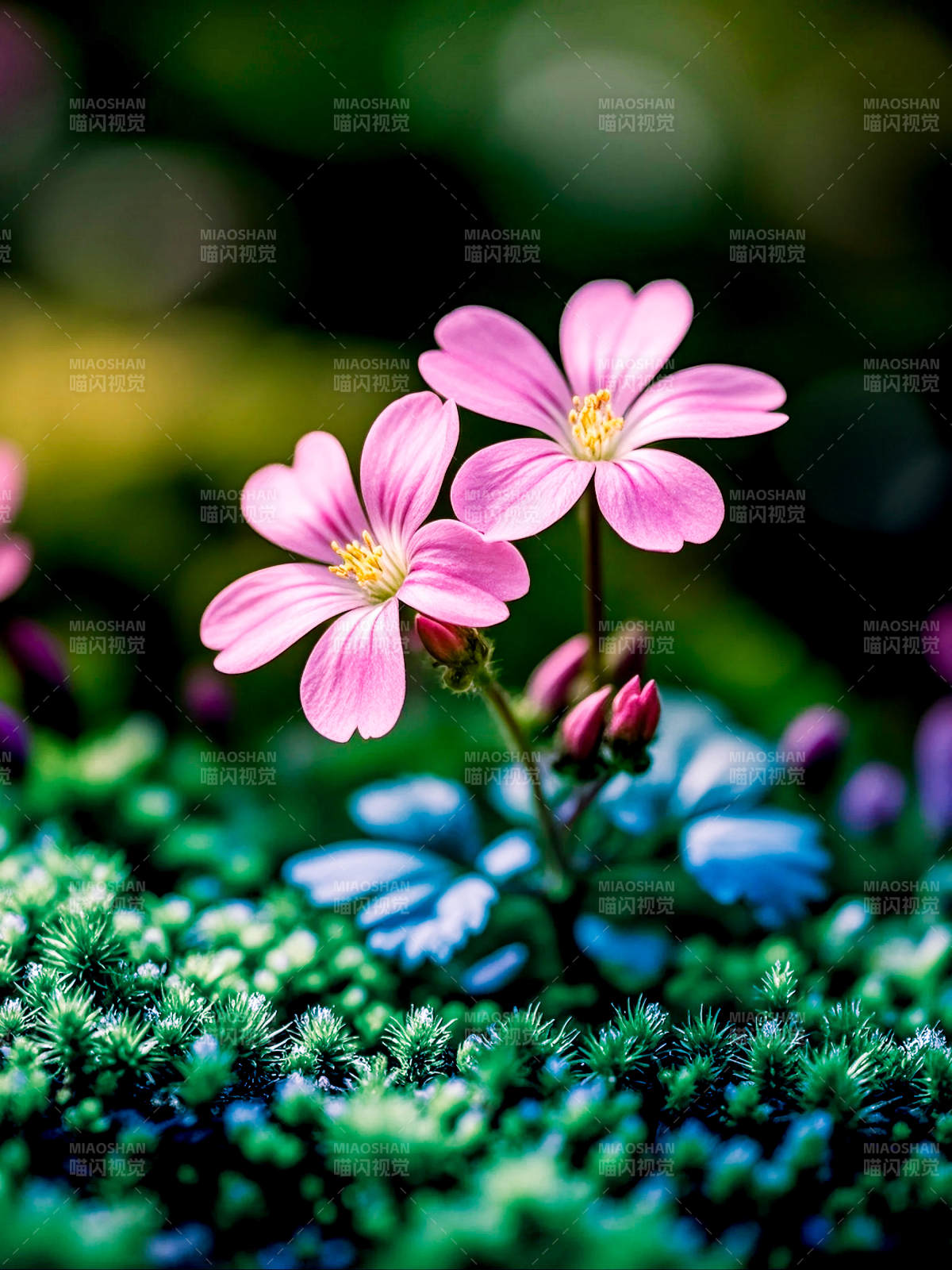 粉花绿意盎然图片