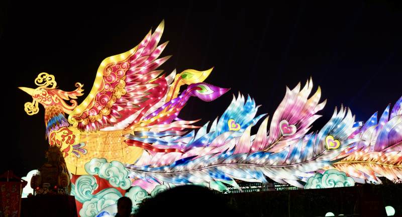 彩灯凤凰展翅图片