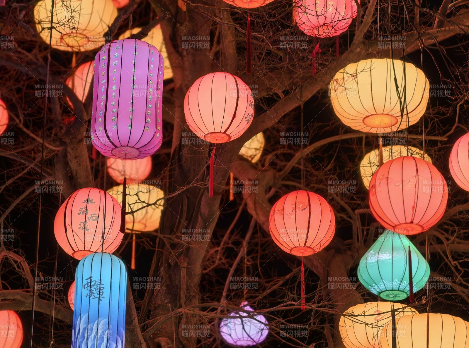 彩灯映夜树图片