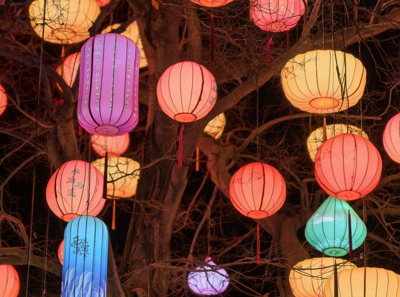 彩灯映夜树图片