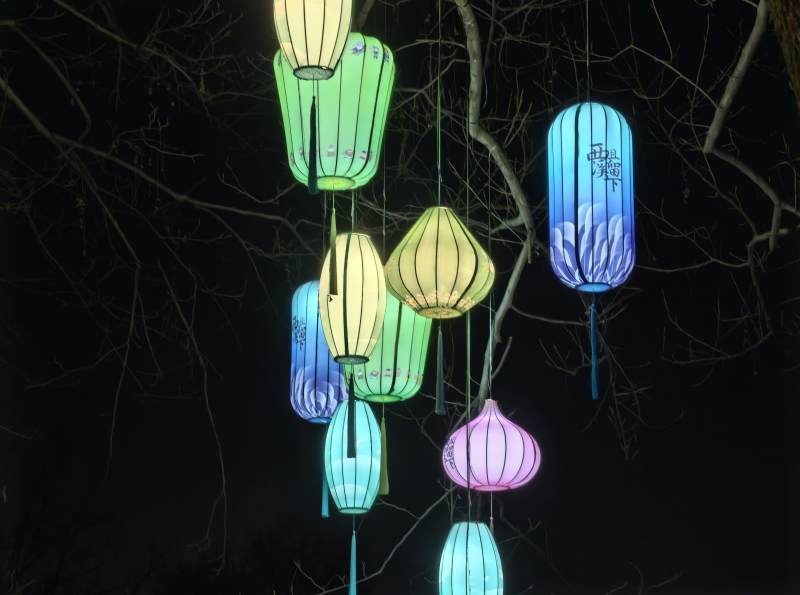 夜灯悬枝 彩光点点图片