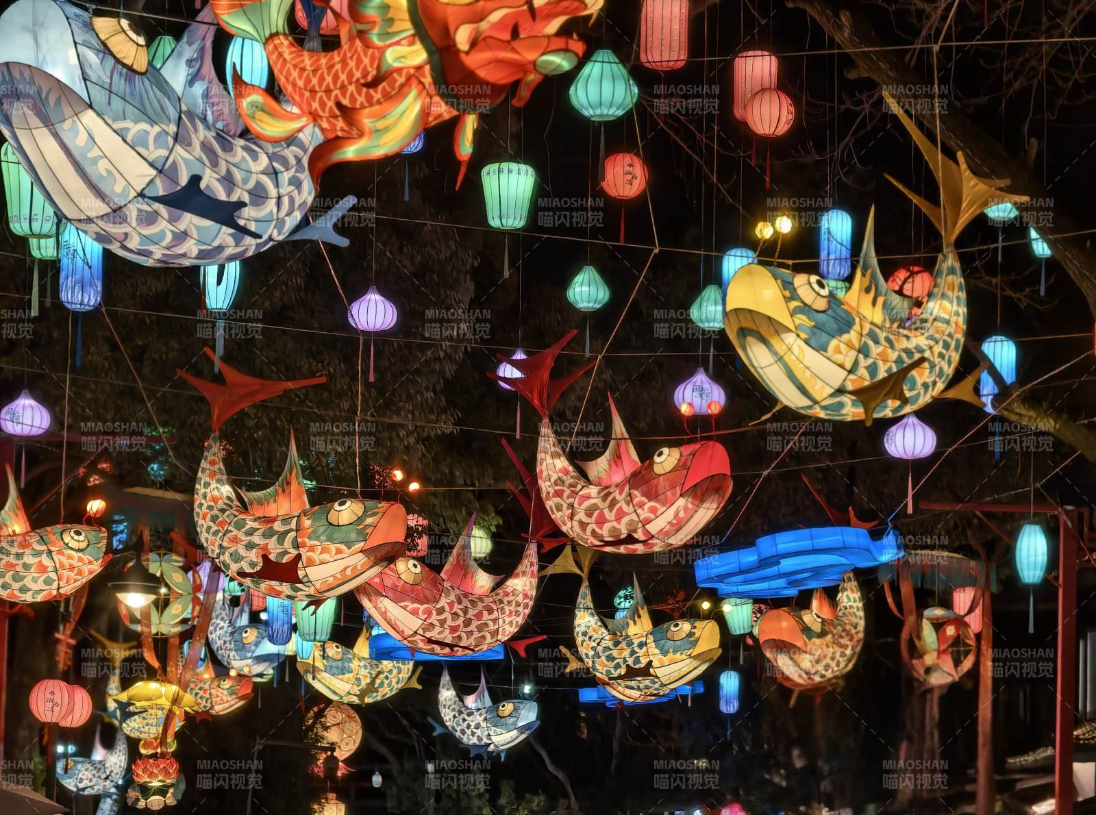 杭州西溪湿地锦鲤鱼灯阵列仰拍图片