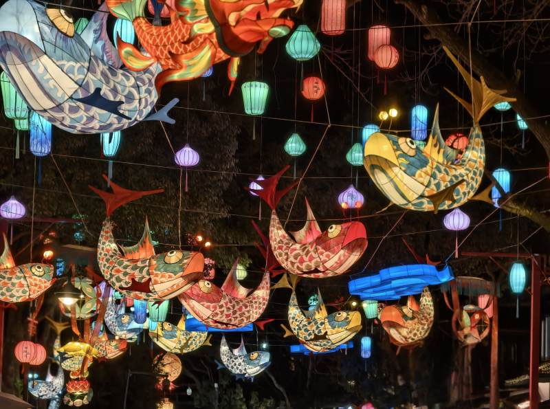 杭州西溪湿地锦鲤鱼灯阵列仰拍图片