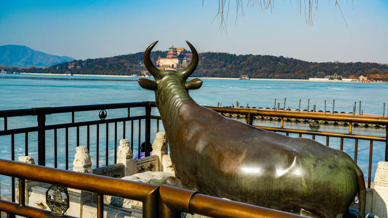 颐和园湖畔铜牛雕塑图片