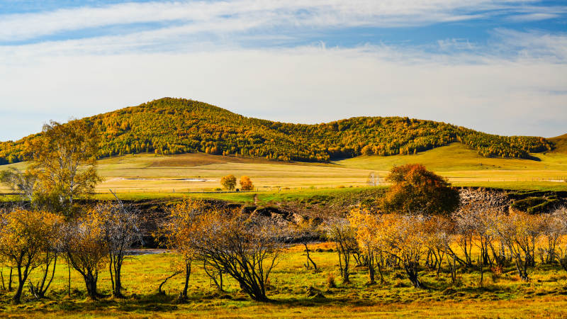 乌兰布统秋日山野风光图片