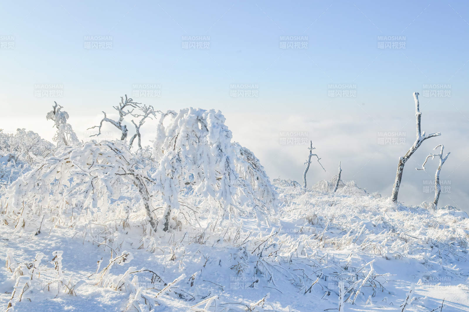 龙江第一高峰图片