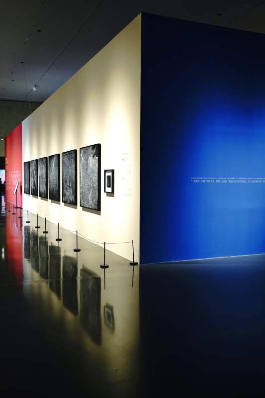 成都光影艺术展图片