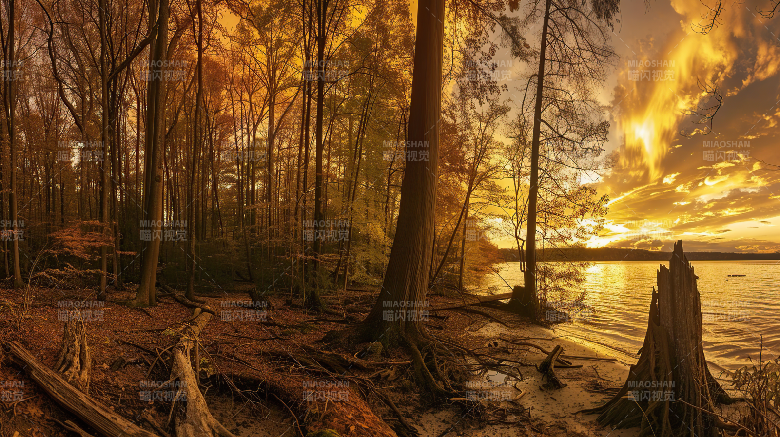 暮色森林湖畔图片