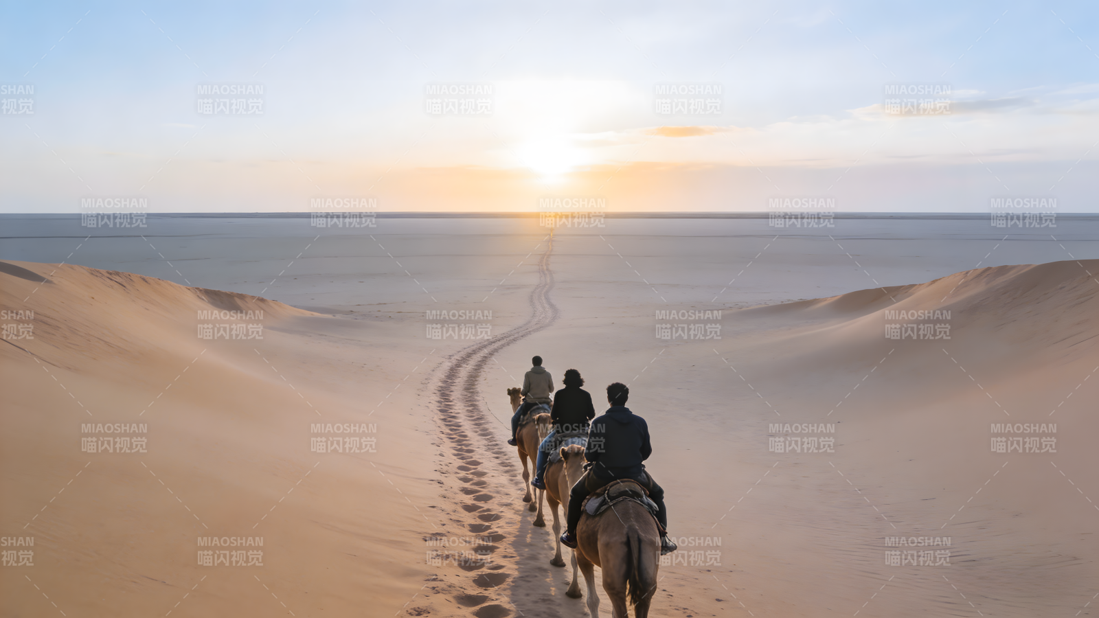 沙漠驼影夕阳下图片
