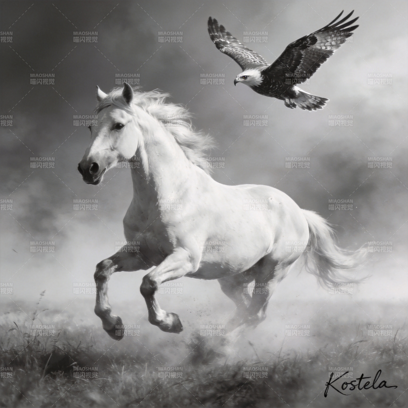 骏马奔腾鹰翱翔图片