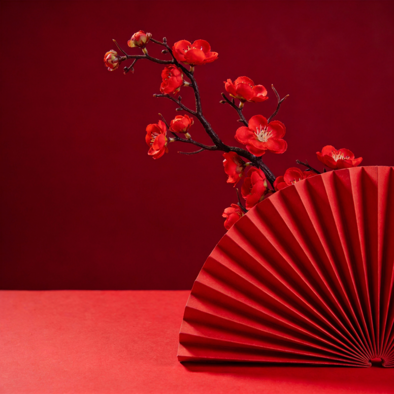 红梅扇影图片