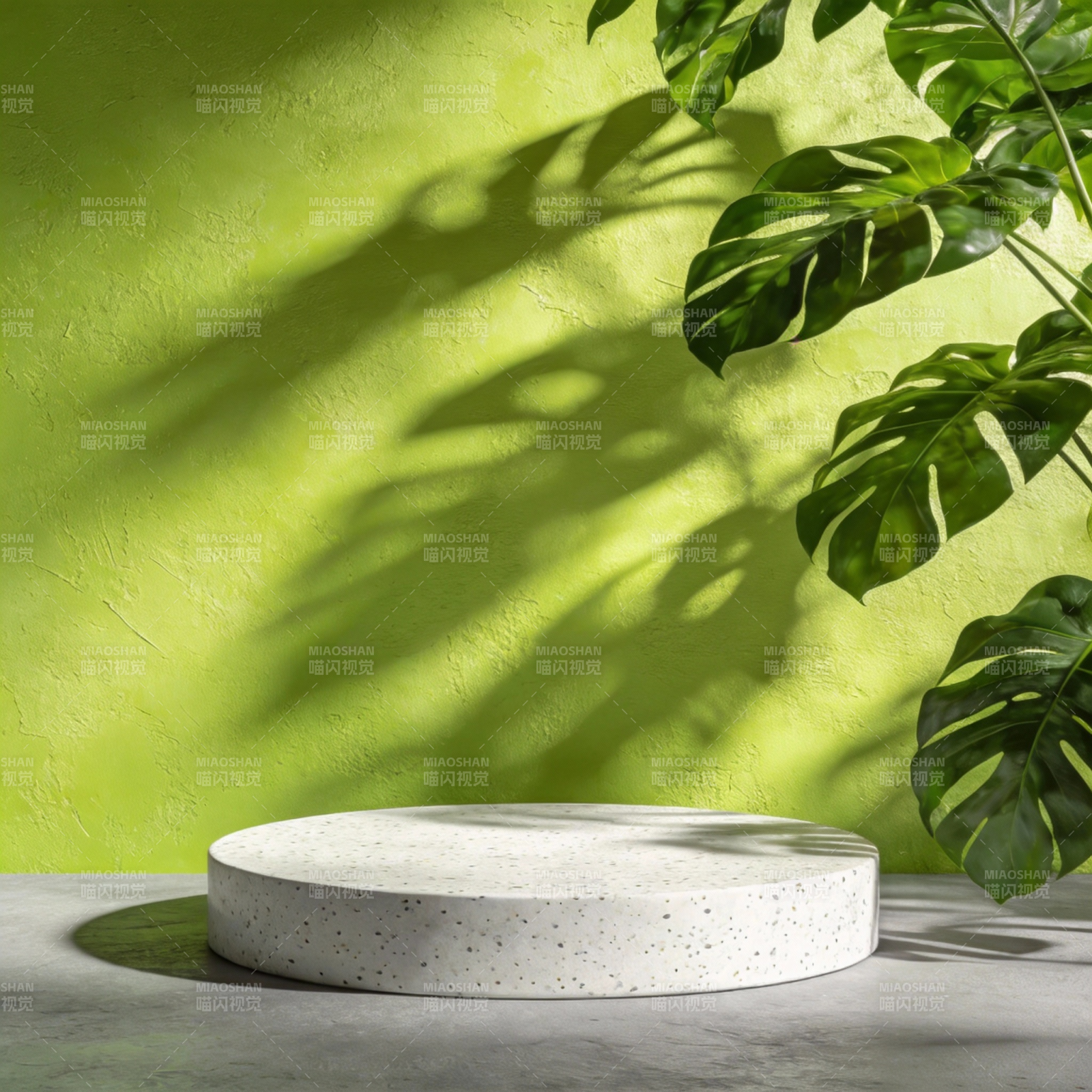 绿影斑驳 静谧之境图片