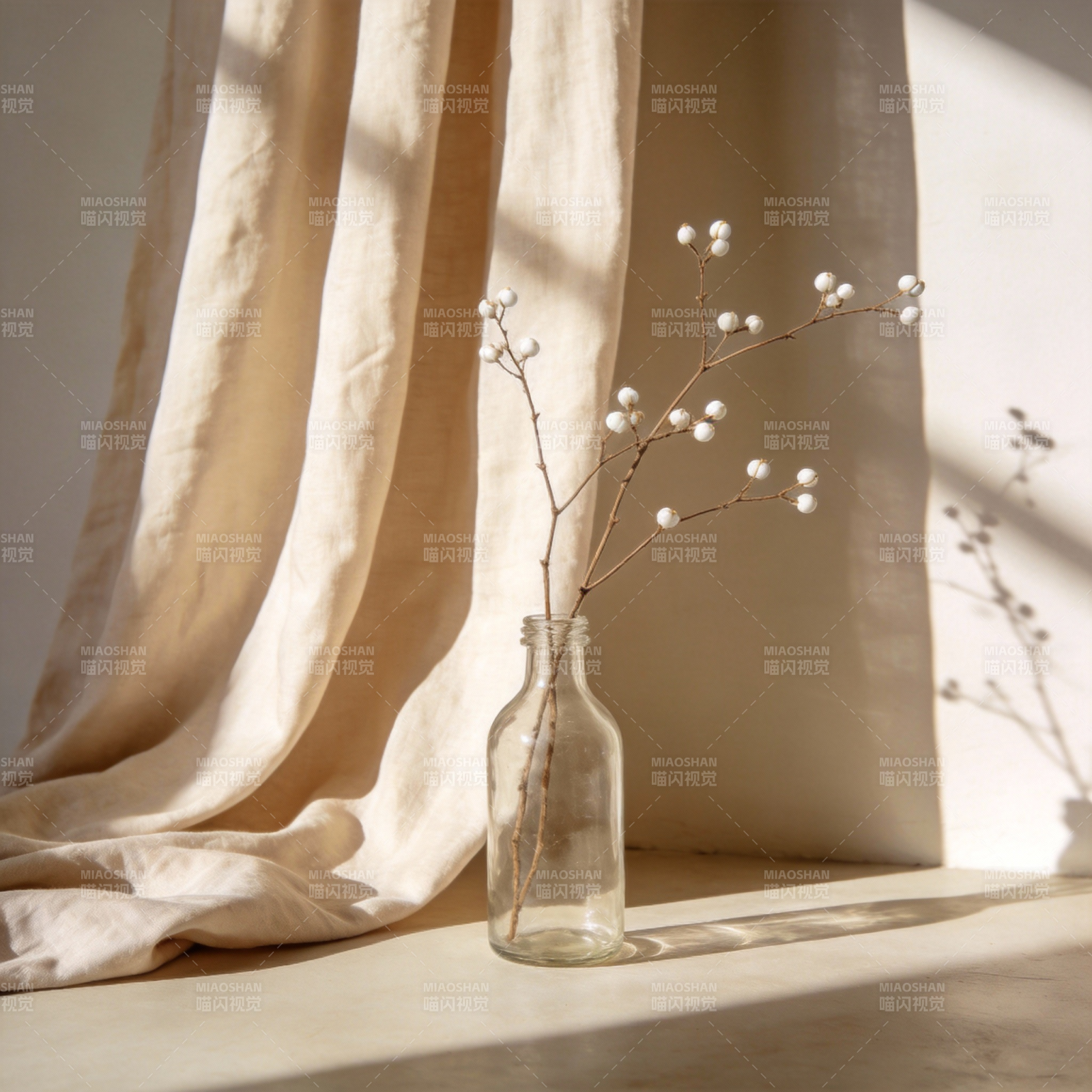 光影中的静谧花枝图片