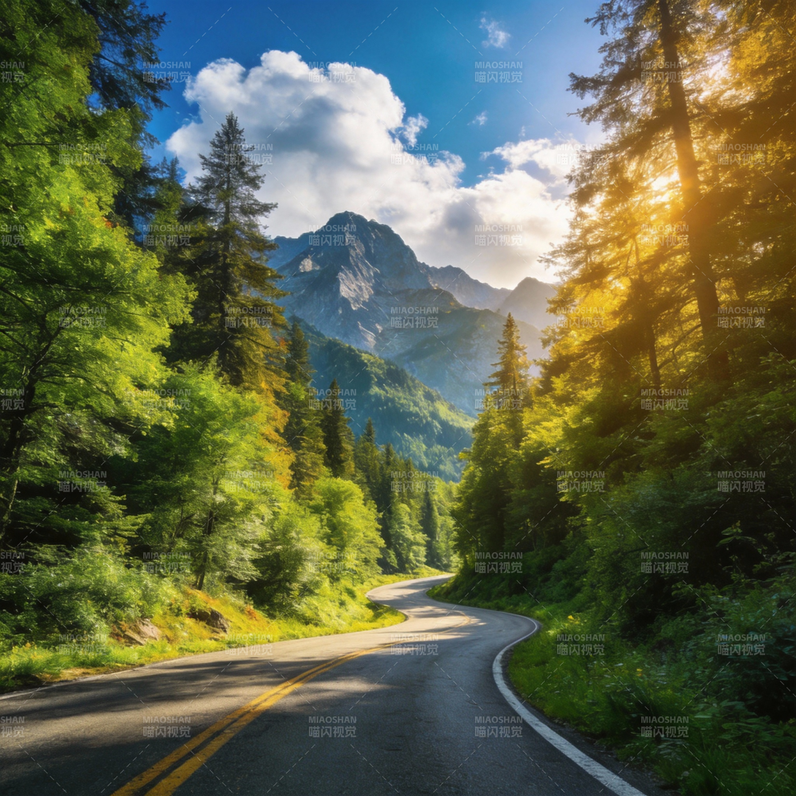 林间山路风光图片