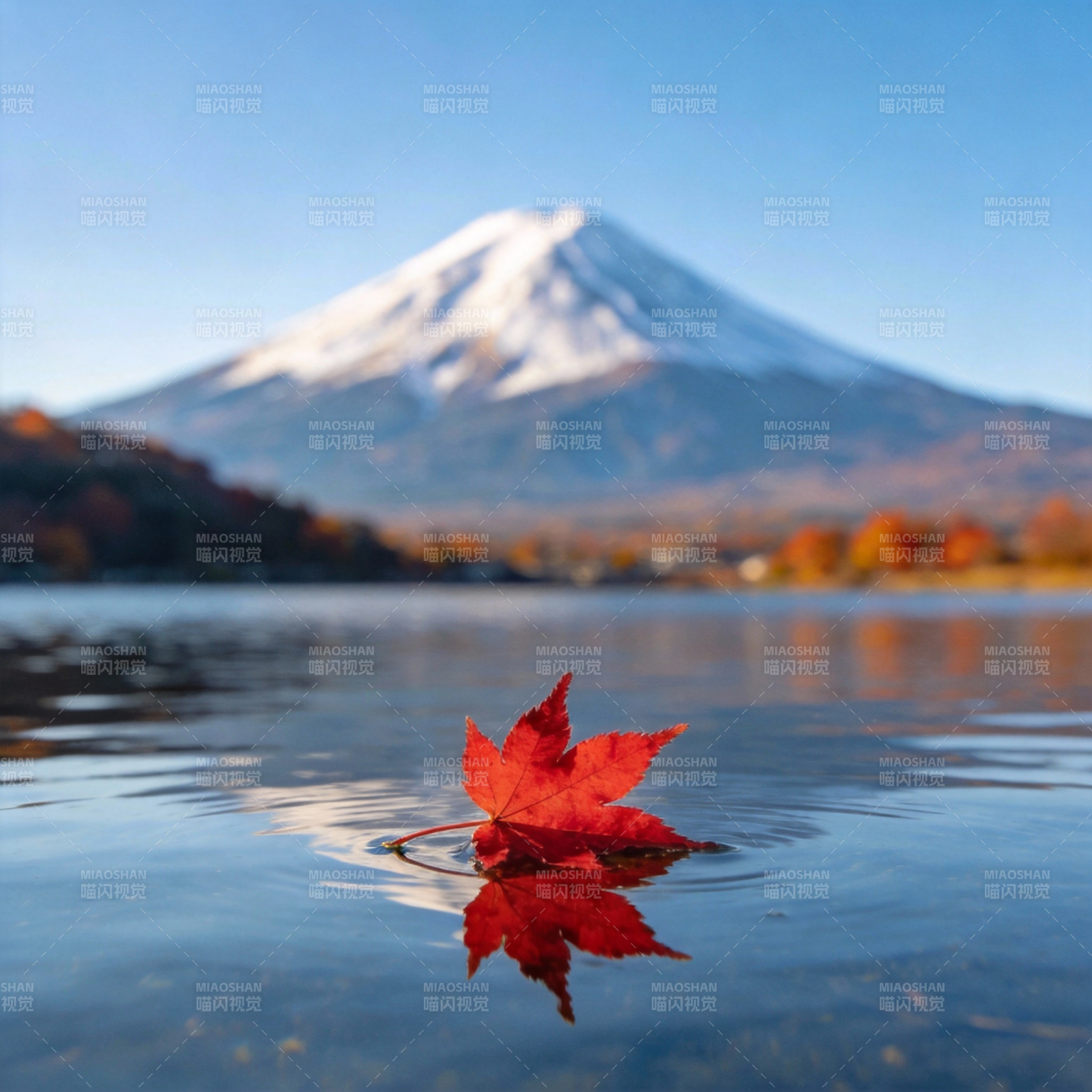 富士山下红叶飘图片