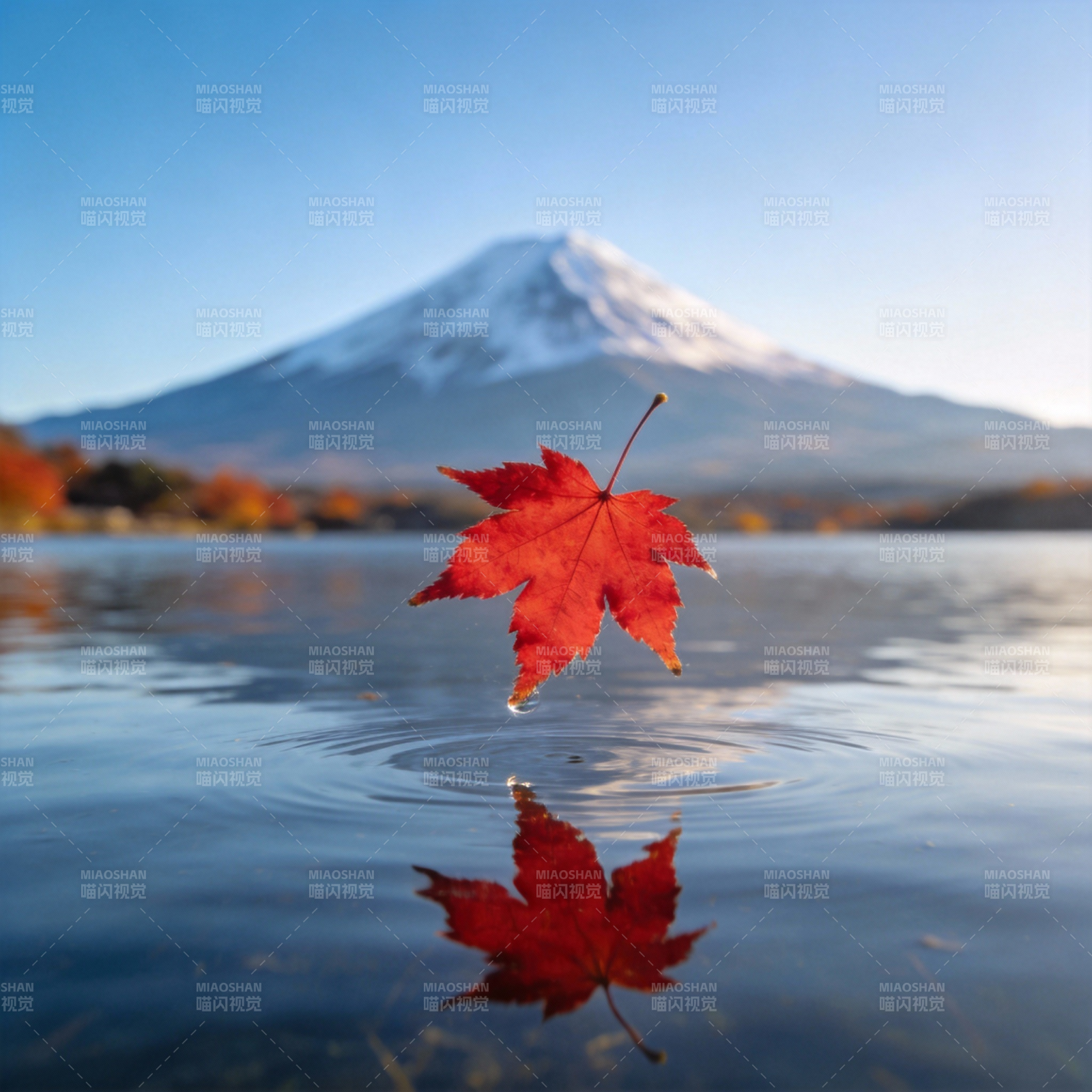 红叶映富士图片
