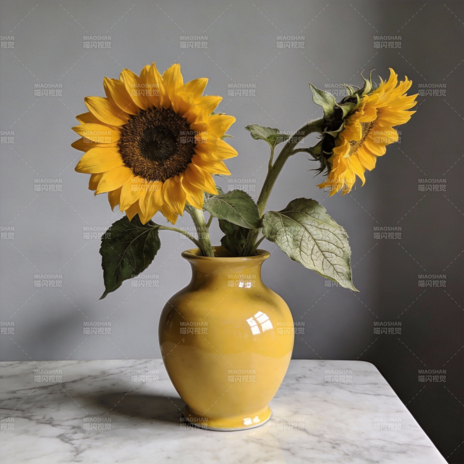 向日葵静物图片