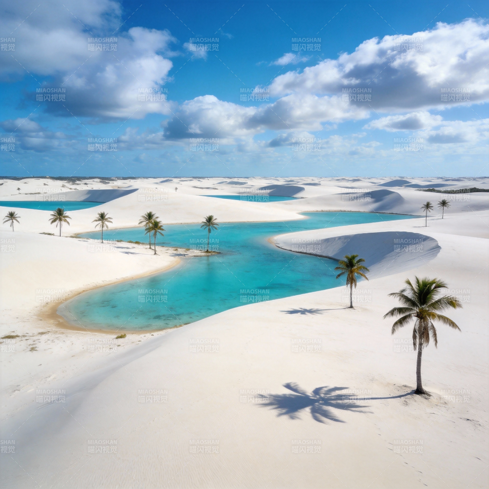 碧海白沙椰影图片