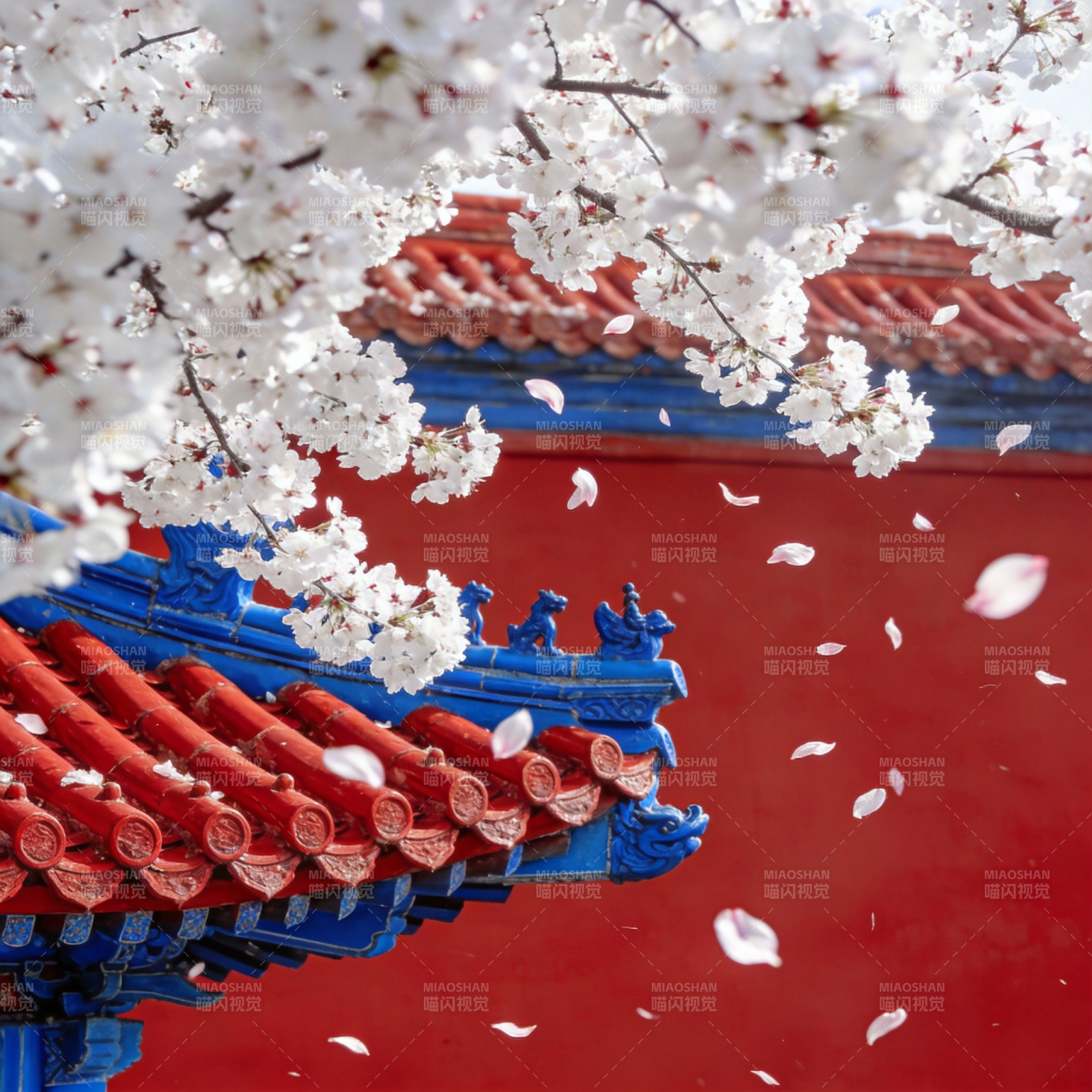 樱花纷飞古建筑图片