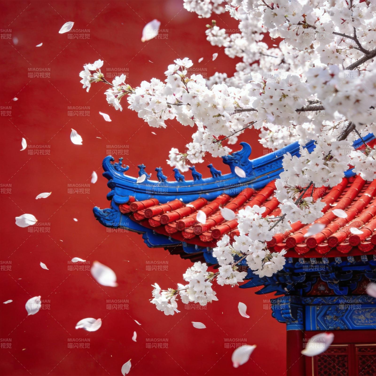 樱花飞舞映古檐图片