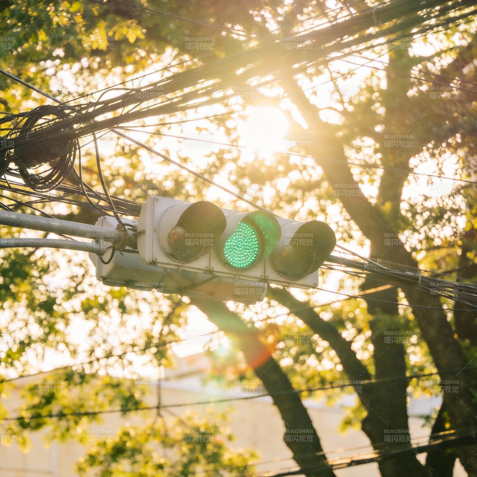 绿灯映夕阳图片