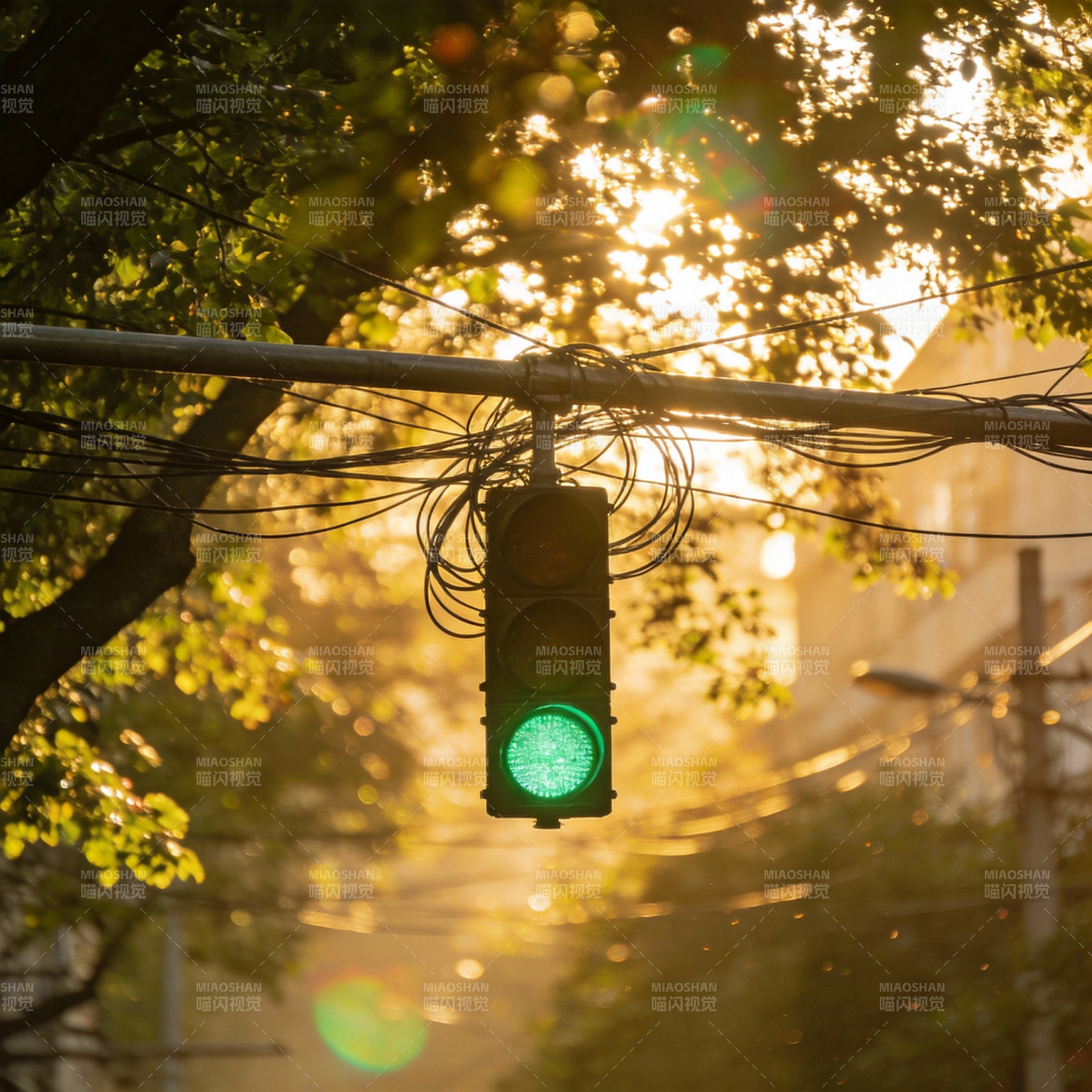 绿灯映夕阳图片