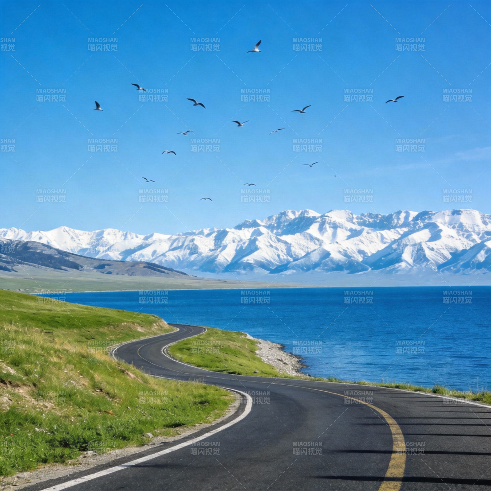 雪山湖畔公路行图片