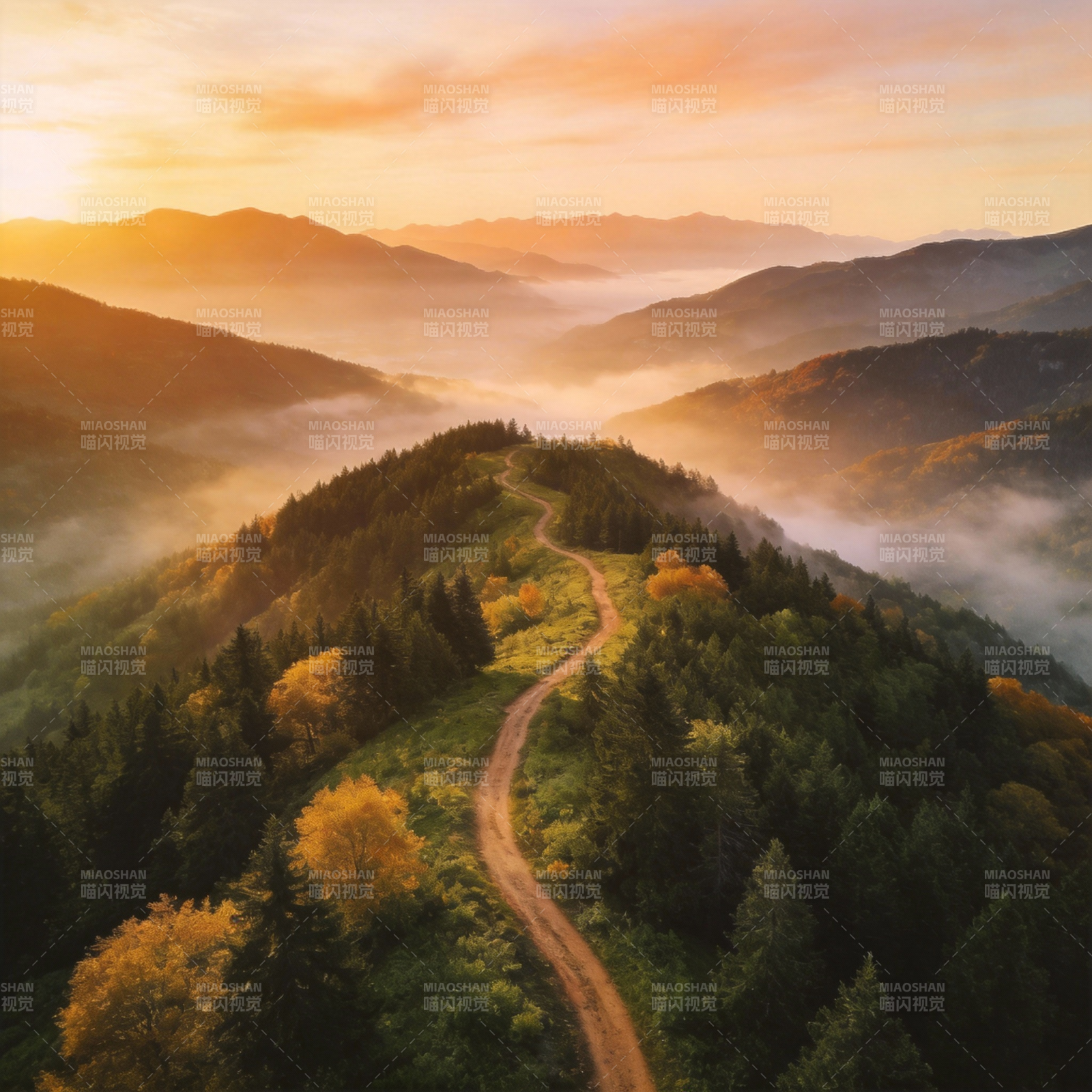 山间晨雾小径图片