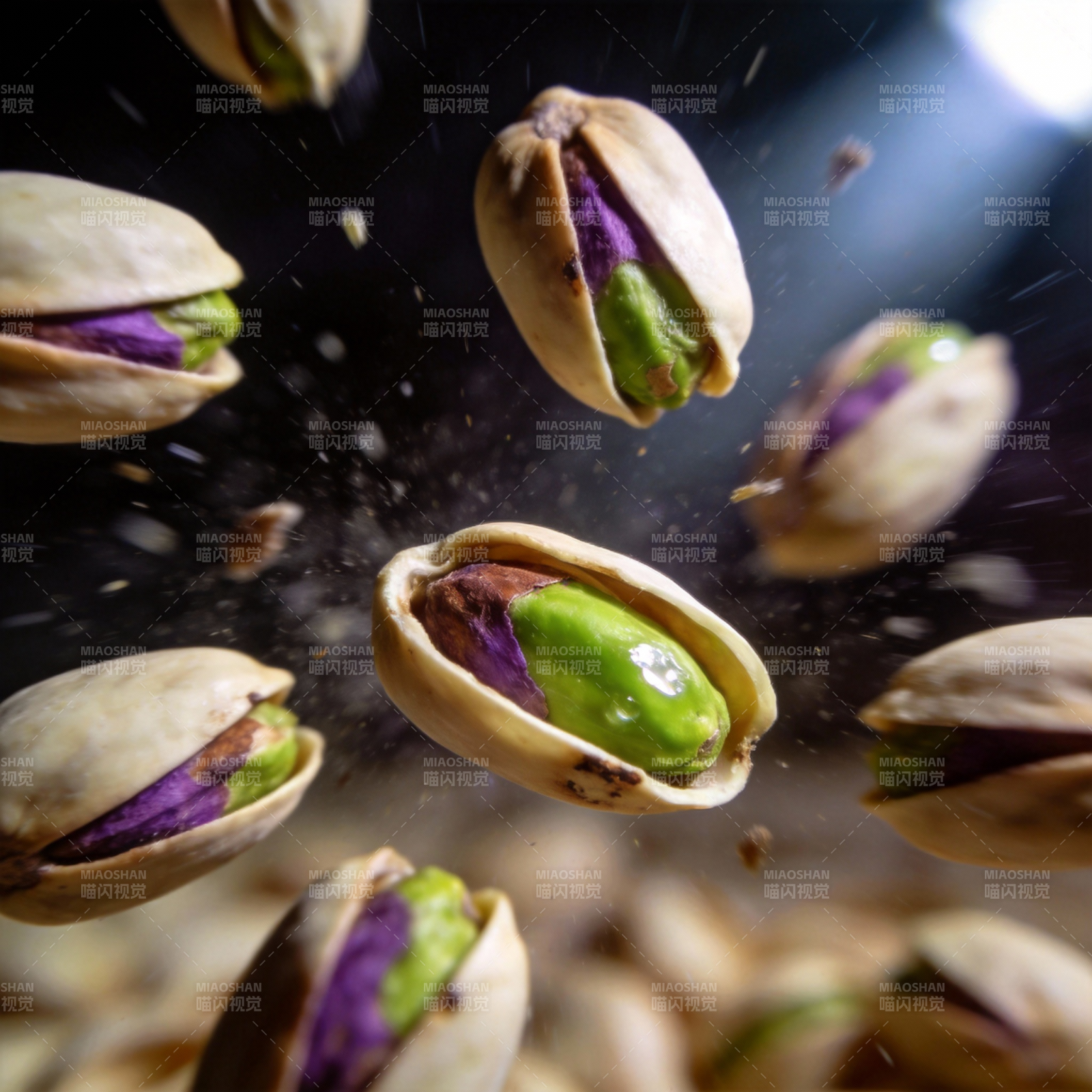 飞舞的开心果图片