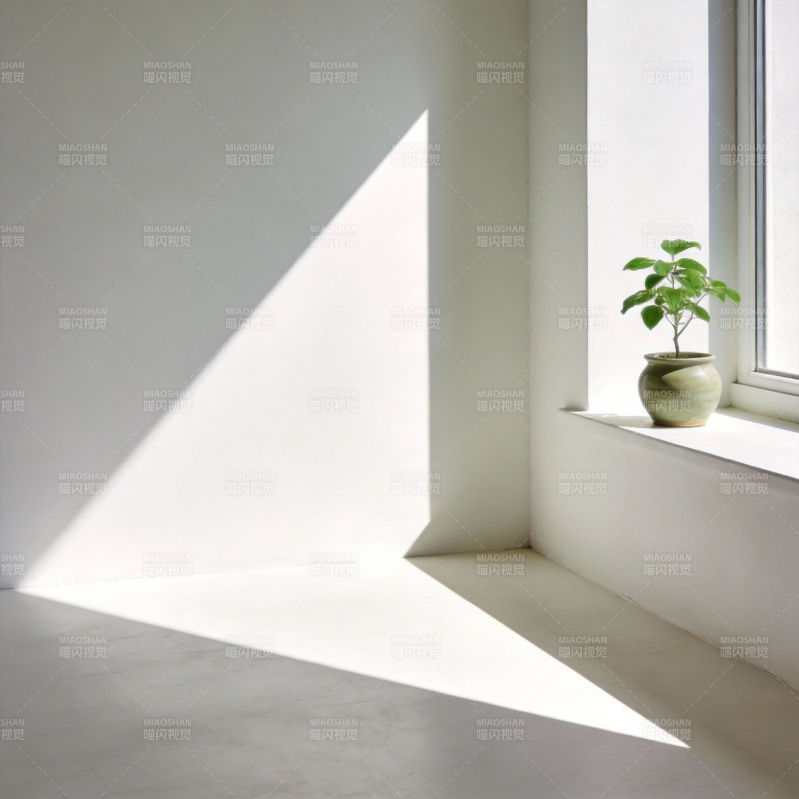 光影中的绿意图片