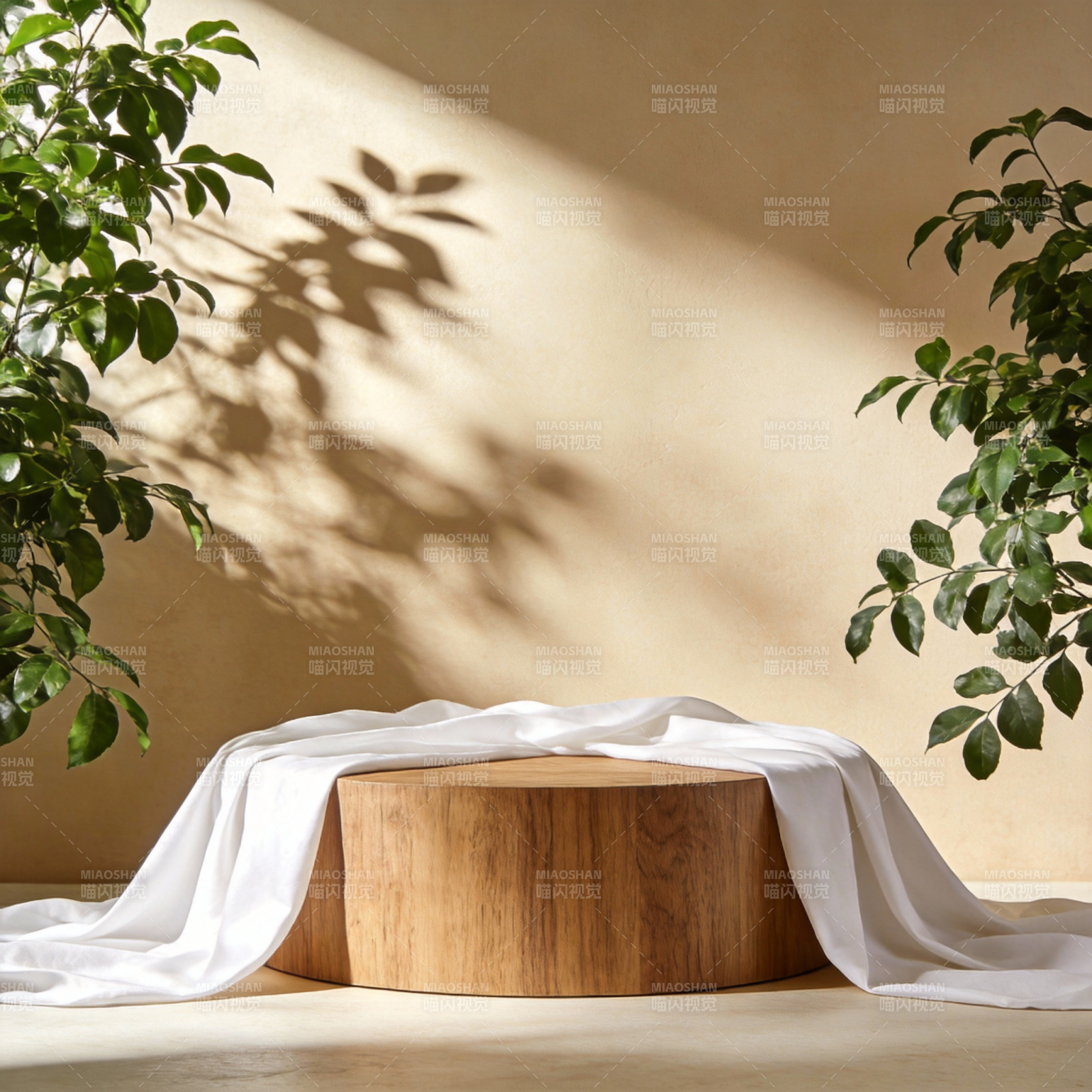 光影绿植木台图片